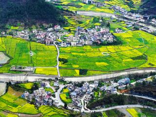 早安重庆 | 生机盎然【3月16日】