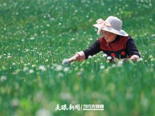 新型农业经营主体“孵出”富民产业链｜学习贯彻全国两会精神