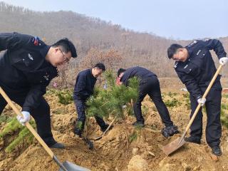 孙家疃派出所开展植树造林公益活动