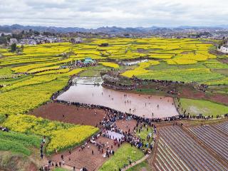 解锁春日新玩法！黄平旧州油菜花节“农运会”乐翻天