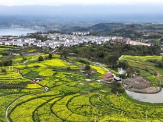 春归天子村 云上有好景