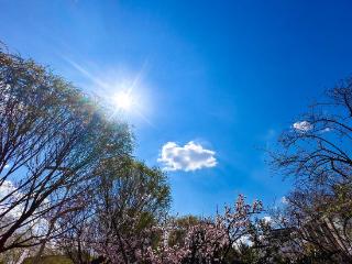 满天的“棉花糖”！济南冷空气送来亮丽蓝天白云