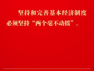 金句｜坚持和落实“两个毫不动摇”，总书记这样深入阐述