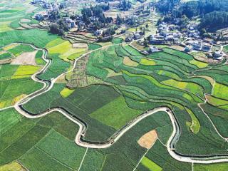 因地制宜改善农村人居环境（金台视线）