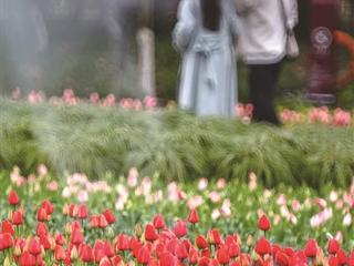 太阳全面复工！昨天多地升级霜冻预警 杭州4月还有过下雪记录