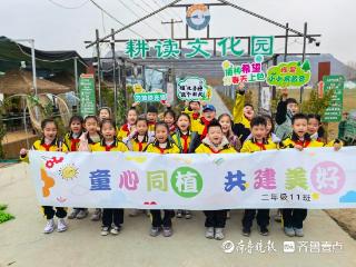 市中区文化路小学实践活动：播种绿色希望，收获知识硕果