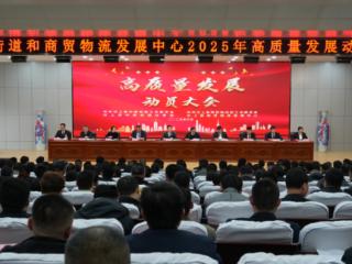 汶上县中都街道召开2025年高质量发展动员大会