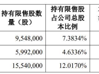 破发股高凌信息1554万股上市流通 2024年亏损5200万