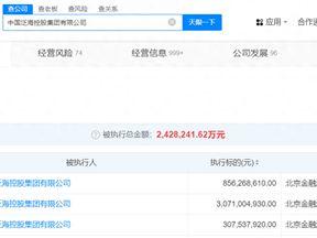 泛海控股集团及卢志强等被执行42.3亿