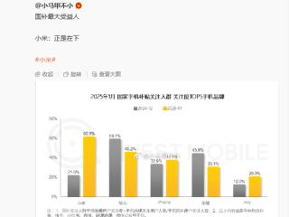 小米手机成国补最大受益人 王腾揭秘：终坚高性价比、独有的线上线下同价