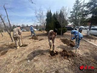 青岛求实职业技术学院：阳春三月好风光 植树添绿正当时