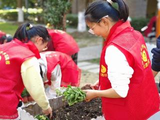 优澄社区：共植绿色希望，同筑美好家园