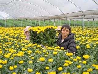 桂平市罗播乡：荒地迎新生 村民喜增收