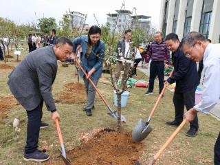 广西职业师范学院开展校园植树活动