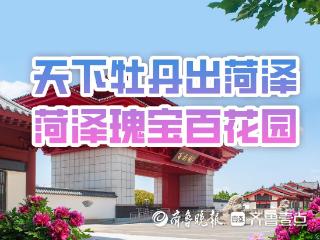 万元奖金｜2025牡丹节会曹州百花园《百花仙子》评选震撼开启