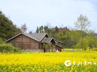 贵州务川：春染仡寨醉游人