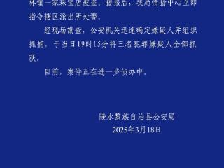 海南陵水3人盗窃珠宝店被抓