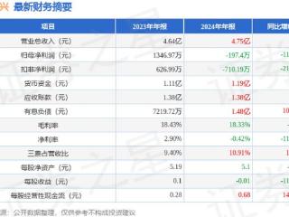 迅捷兴（688655）2024年年报简析：增收不增利