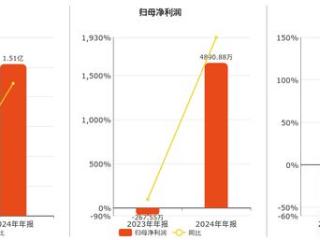 中国高科(600730.SH)：2024年年报净利润为4890.88万元