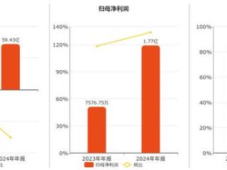 道道全(002852.SZ)：2024年年报净利润为1.77亿元