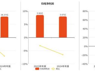 节能国祯(300388.SZ)：2024年年报净利润为3.67亿元、同比较去年同期下降6.54%