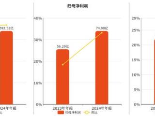 福耀玻璃(600660.SH)：2024年年报净利润为74.98亿元