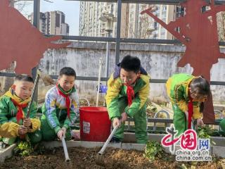 湖南湘西：学生化身“小菜农” 校园农场春种忙