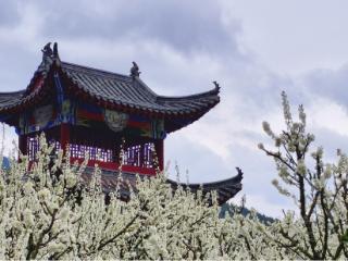 与春光铜行||沿河南庄村："春日画卷"引游客纷至沓来