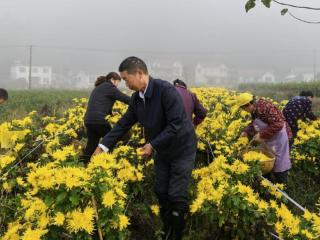 石台县：科技特派员助脱贫户增收致富