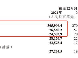 造车这步棋 雷军走得太对了