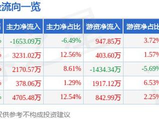 莱斯信息（688631）3月19日主力资金净卖出1653.09万元