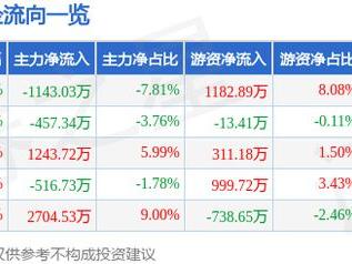 科思科技（688788）3月19日主力资金净卖出1143.03万元