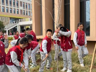 “植”此青绿，共“树”未来——济南高新区航空小学四年级二班开展植树节活动