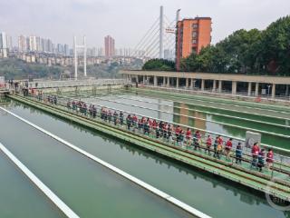 世界水日｜走进自来水厂 探秘“一滴水”的净化旅程