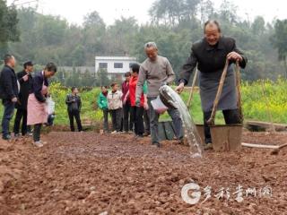 泥巴说话 粱酒飘香——春耕技术在赤水田间播撒丰收希望