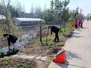 湖南南县浪拔湖镇：委员助力环境整治 携手共建美丽家园