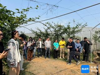 海南举办豇豆“全覆盖防虫网+”提升培训 将技术送到田间地头