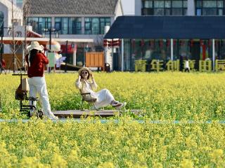 组图 | 金色浪潮涌瑶海 合肥主城醉游人