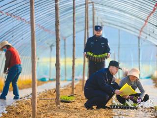 黄石公安倾力护航“赏花经济”