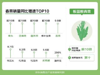 京东春菜消费观察：Z时代人群更爱养生，药食同源类春菜增长113%