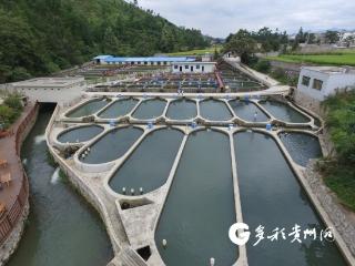 科技赋能！贵州鲟鱼繁育技术突破 助推产量蝉联全国第一