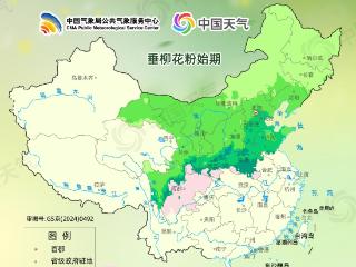 “邪恶”花粉来袭！周末河南高温25℃，防护指南请查收