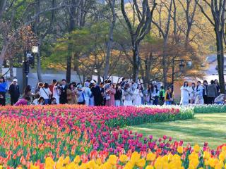 赏花热潮来袭 浙江各地挖掘“赏花经济”新“花”样