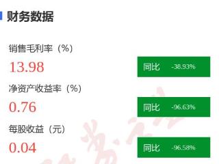 图解山东海化年报：第四季度单季净利润同比减135.01%