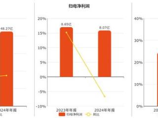 创业环保(600874.SH)：2024年年报净利润为8.07亿元、同比较去年同期下降6.70%