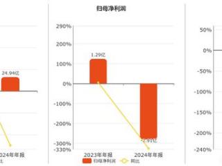 上实发展(600748.SH)：2024年年报净利润为-2.91亿元，同比由盈转亏