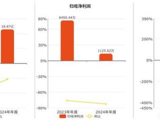 安纳达(002136.SZ)：2024年年报净利润为1125.62万元、同比较去年同期下降82.55%