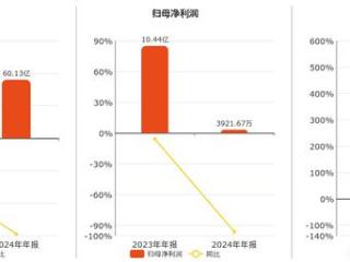 山东海化(000822.SZ)：2024年年报净利润为3921.67万元、同比较去年同期下降96.24%