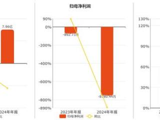 莱美药业(300006.SZ)：2024年年报净利润为-8780.44万元，同比亏损扩大