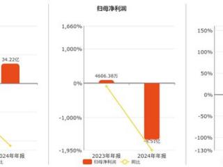 易成新能(300080.SZ)：2024年年报净利润为-8.51亿元，同比由盈转亏